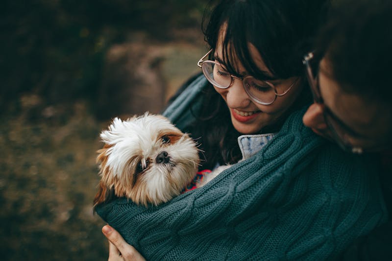 Puppy Photo