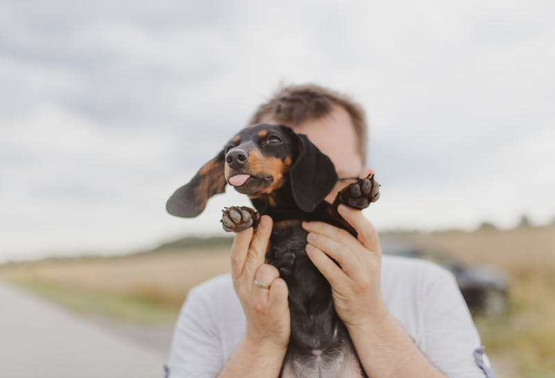 Puppy Photo